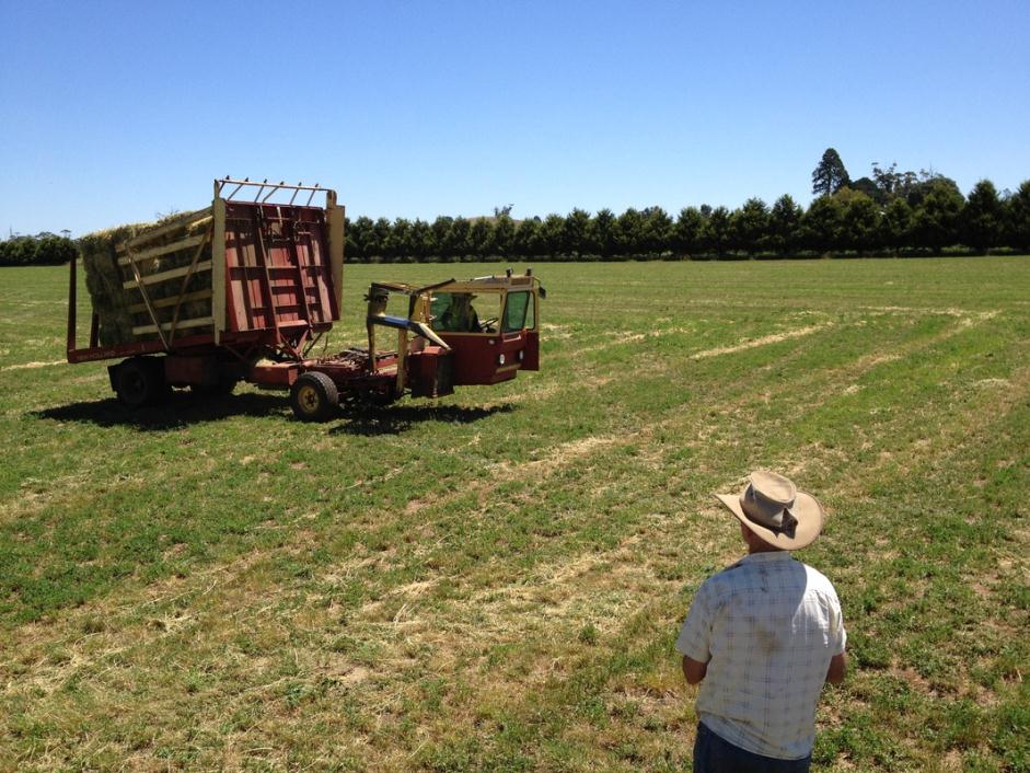 New Holland 4960 Self Propelled Bale Wagon Machinery